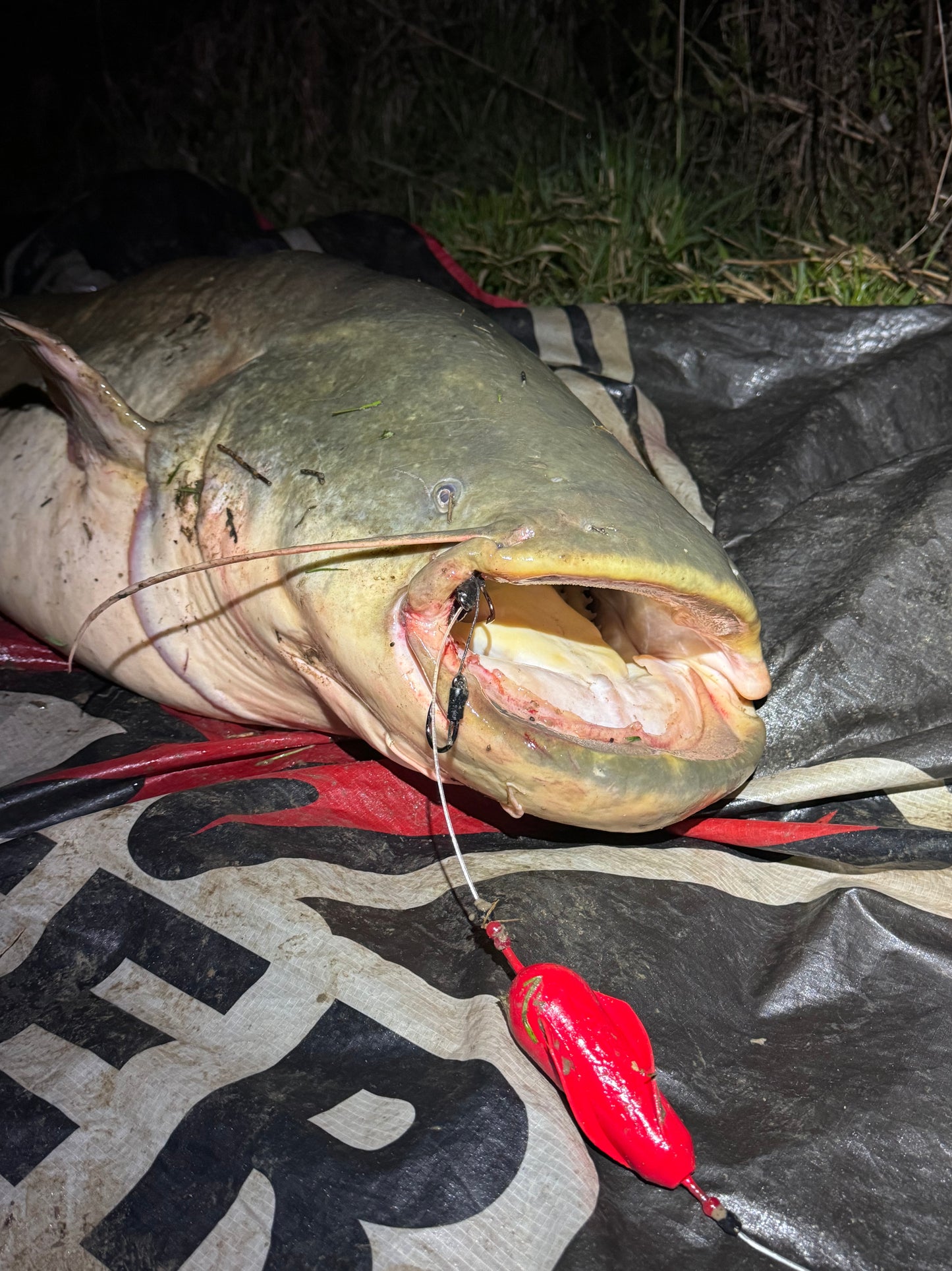 DirtyTwist U-Pose Rot