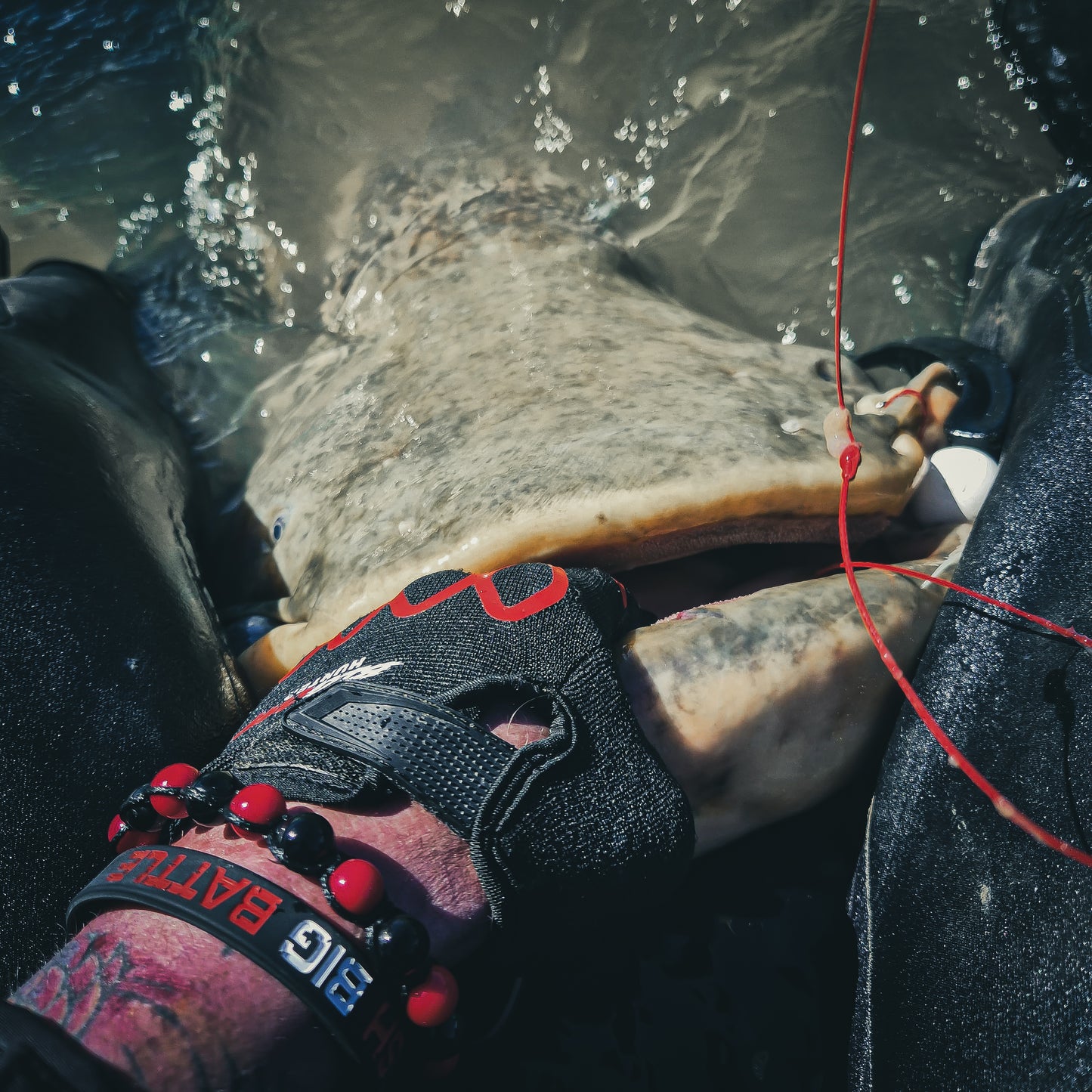 Cat Ripper - Catfish Shad