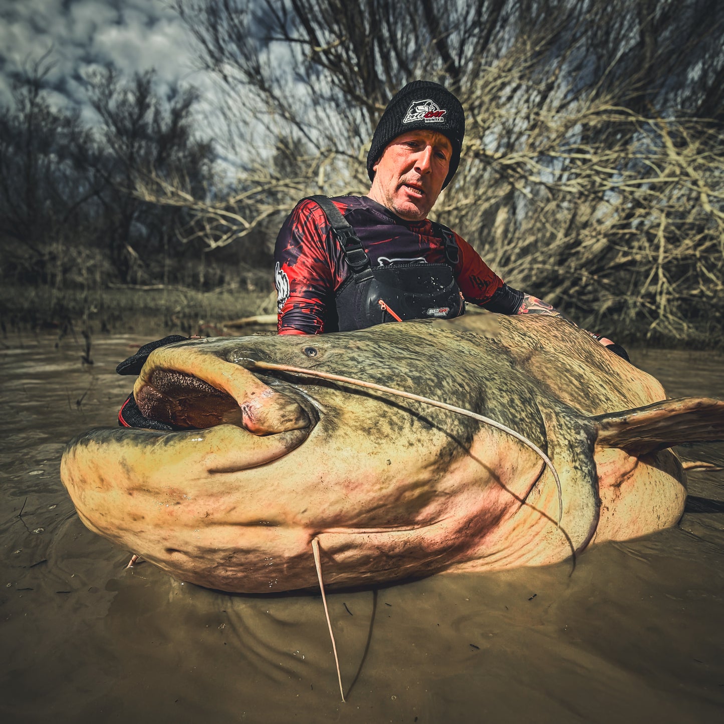 Cat Ripper - Catfish Shad